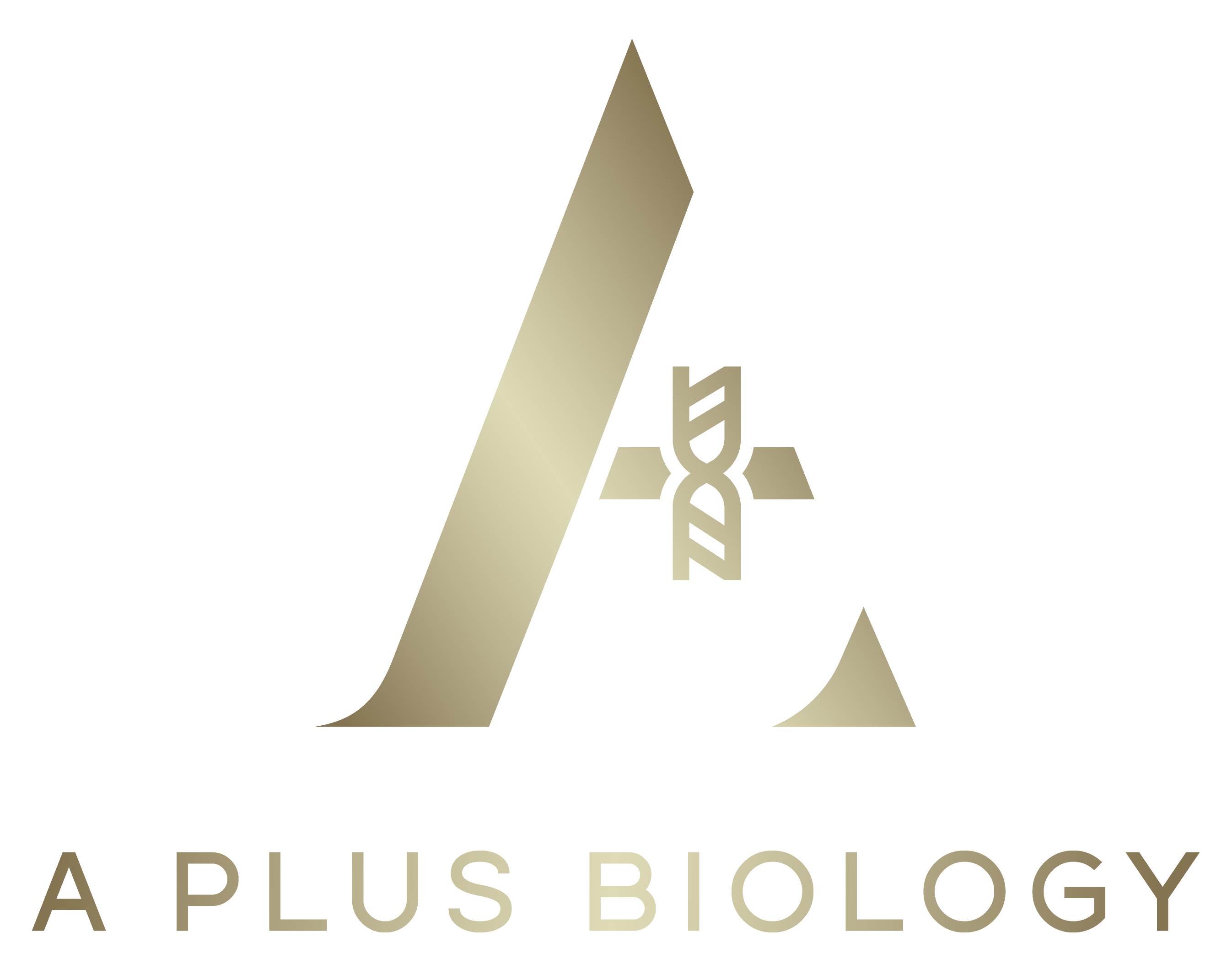 Project Eight A Plus Bio DSE BIO project-eight-a-plus-bio-dse-bio